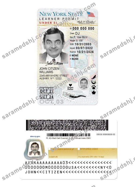 USA New York driving license under 21 (version 2)